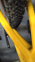 Demo Scott Speedster 40 Aluminium Gravel Bike700c YEL 56