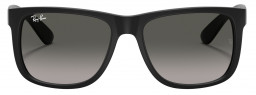Ray-Ban Jackie Ohh RB4101 Polarized Fashion Sunglasses 