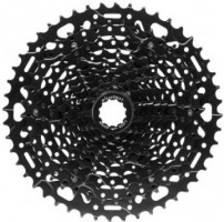 Cycle Lab Daisy White Unisex Socks 