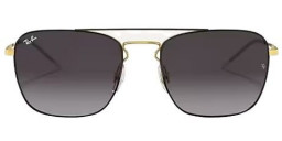 Ray-Ban Erika RB4171 Polarized Sunglasses