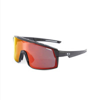 D'Arcs Tundra Sport Sunglasses 