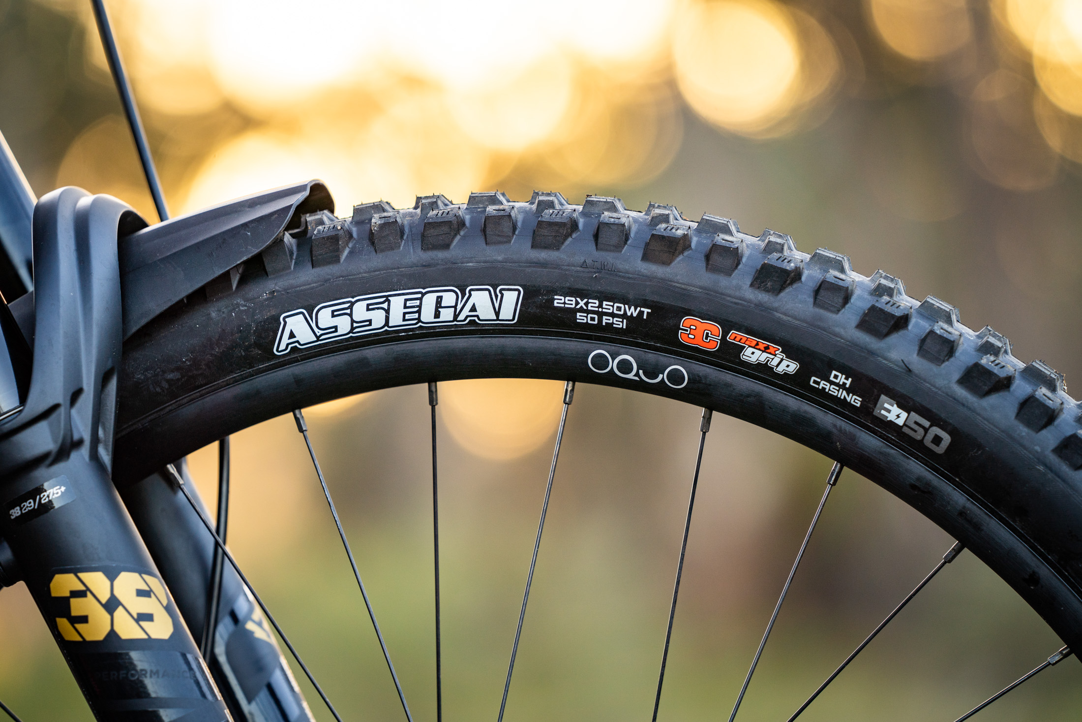 MTB Tyre Guide: How to Choose the Right Tyres