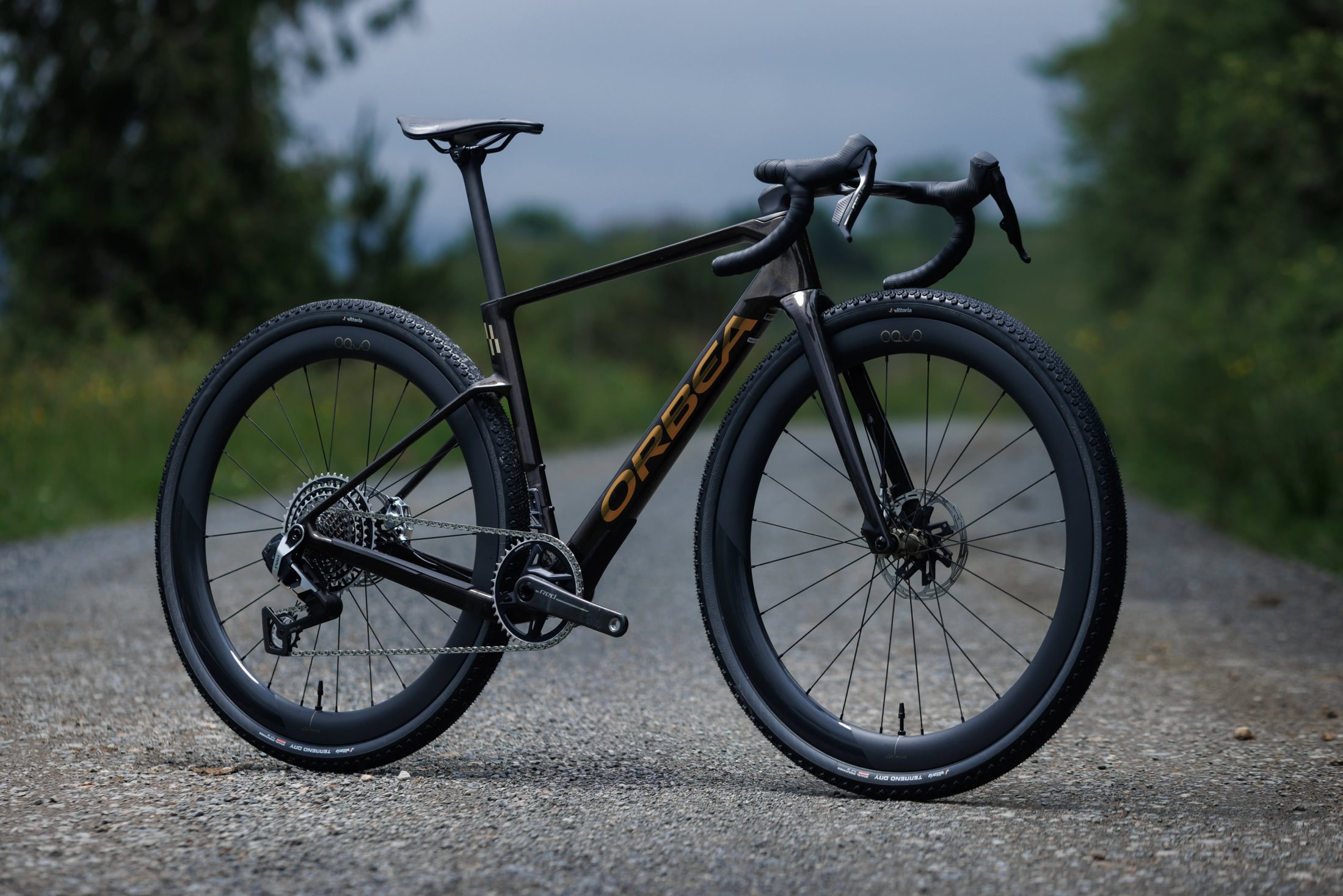 The Orbea Terra Race M11eLTD 1X demands your attention