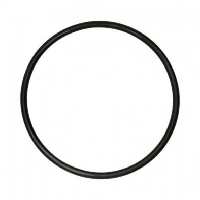 Camelbak Omega Reservoir O-Ring