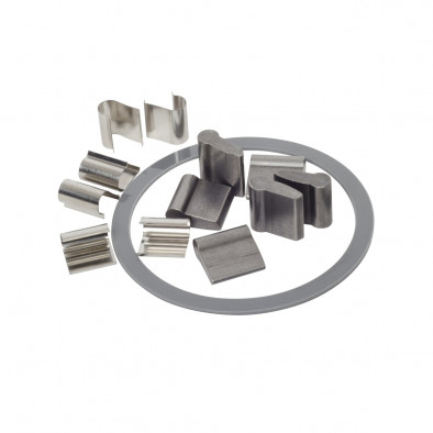 Stans Spring and Pawl Replacement Kit