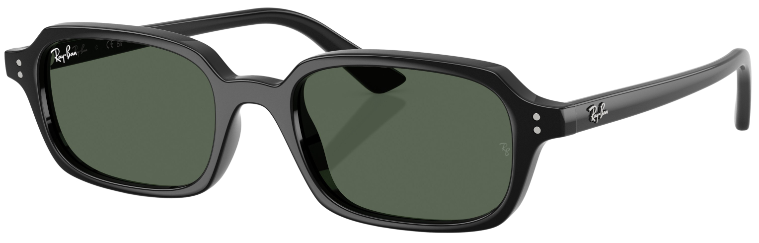 Ray-Ban Zuri Fashion Sunglasses