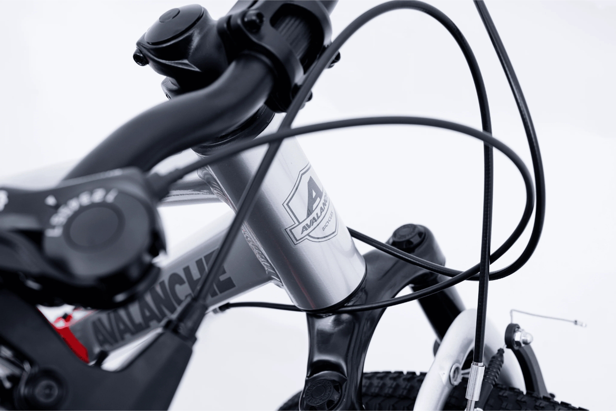 Avalanche Buzz Junior Boys Bike 2026