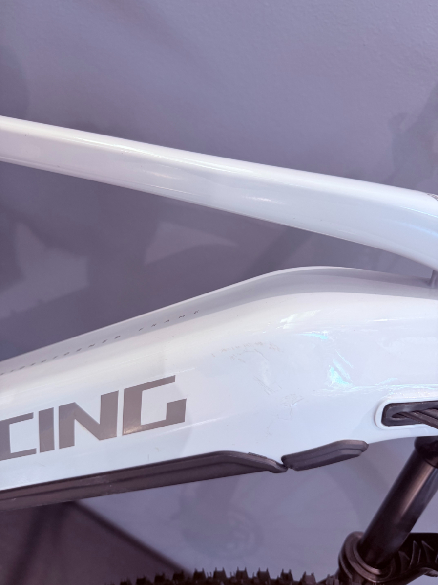 Demo Titan Nitric Dash Aluminium Hardtail  MTB E-Bike XL 2024