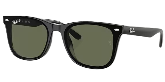 Ray-Ban 0RB4420 Polarized Sunglasses