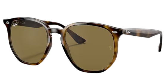 Ray-Ban 0RB4306 Polarized Sunglasses 
