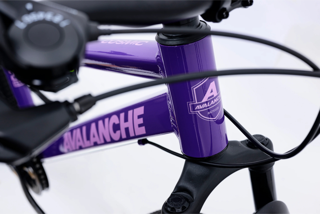 Avalanche Cosmic 24 Inch Junior Girls Bike 2026