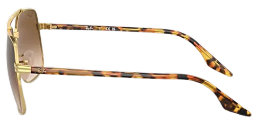 Ray-Ban 0RB3699 Sunglasses 