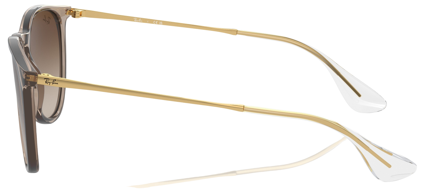Ray-Ban Erika Fashion Sunglasses