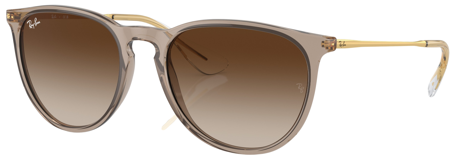 Ray-Ban Erika Fashion Sunglasses