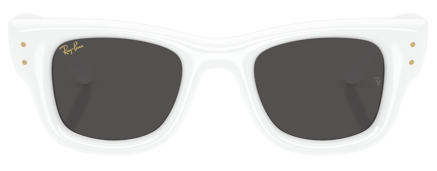 Ray-Ban Wayfarer Puffer Fashion Sunglasses