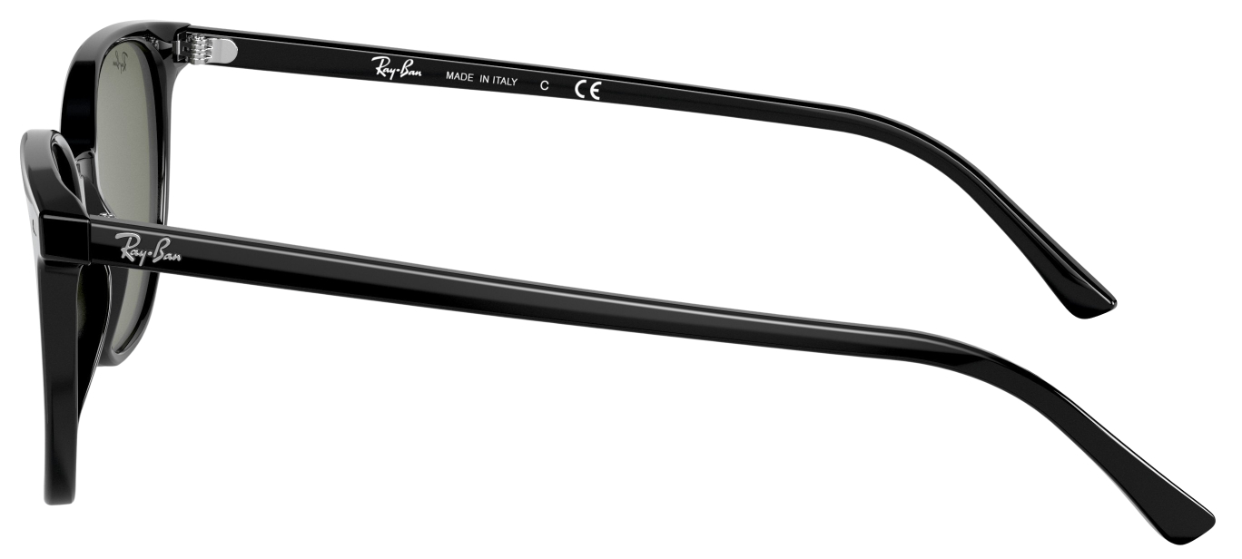 Ray-Ban Elliot Fashion Sunglasses