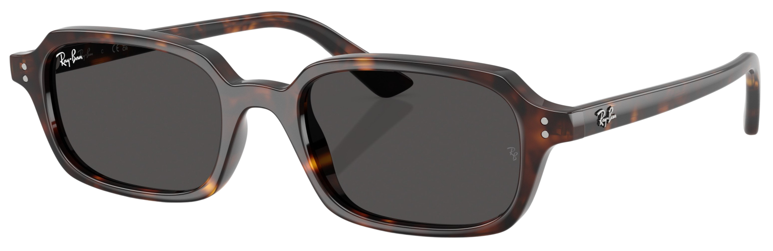 Ray-Ban Zuri Fashion Sunglasses