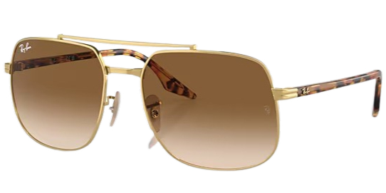 Ray-Ban 0RB3699 Sunglasses 