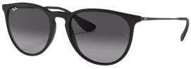 Ray-Ban Erika Polarized Fashion Sunglasses
