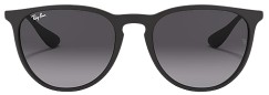 Ray-Ban Erika Polarized Fashion Sunglasses