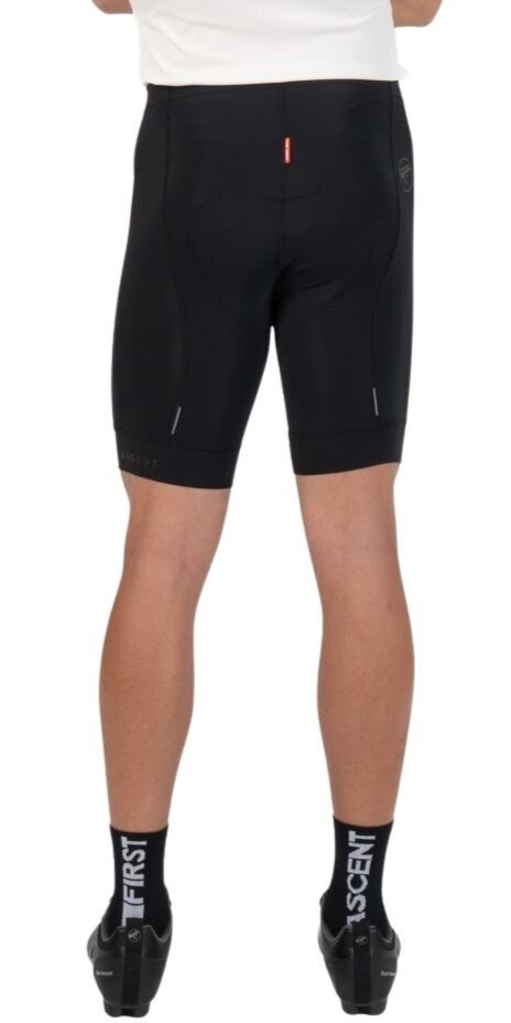 First Ascent Domestique Men's Shorts 