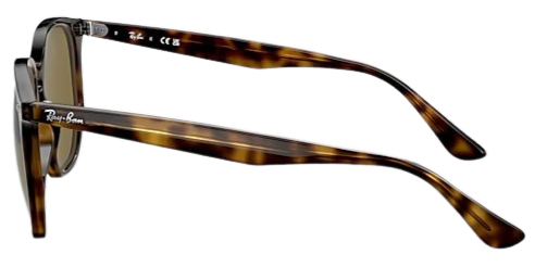 Ray-Ban 0RB4306 Polarized Sunglasses 