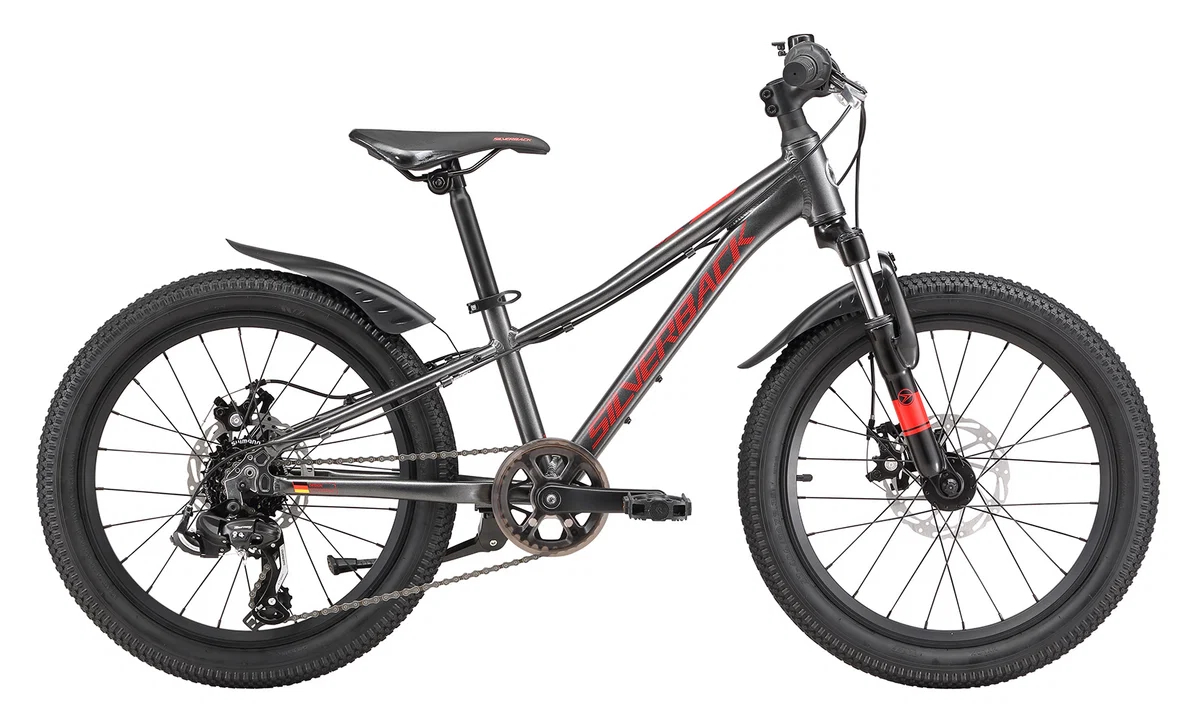 Silverback Spyke 20 Inch Junior Boys Bike