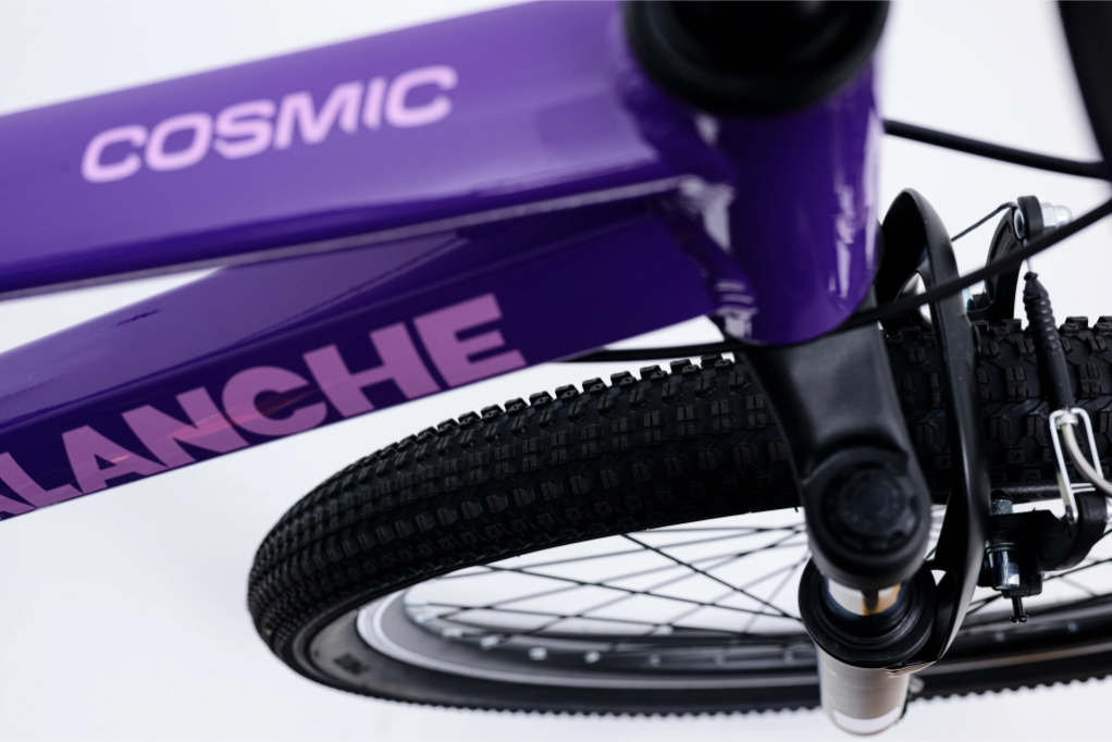 Avalanche Cosmic 24 Inch Junior Girls Bike 2026