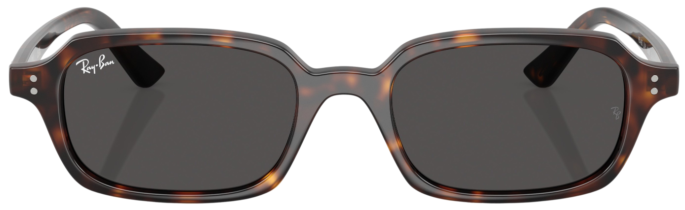 Ray-Ban Zuri Fashion Sunglasses