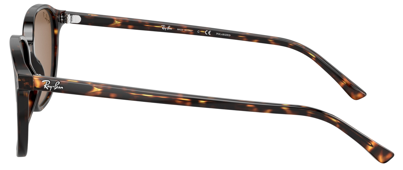 Ray-Ban Leonard Polarized Fashion Sunglasses