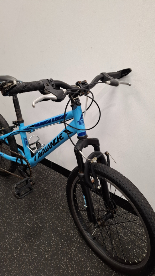 Pre-Owned Avalanche Delta One 20 Inch Junior Bike 