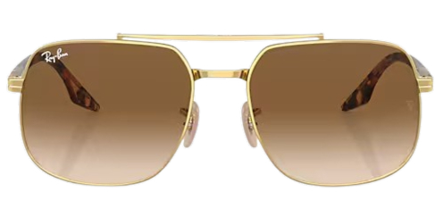 Ray-Ban 0RB3699 Sunglasses 