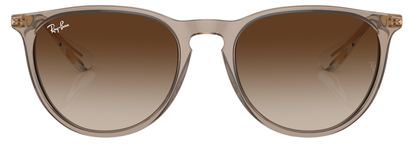 Ray-Ban Erika Fashion Sunglasses