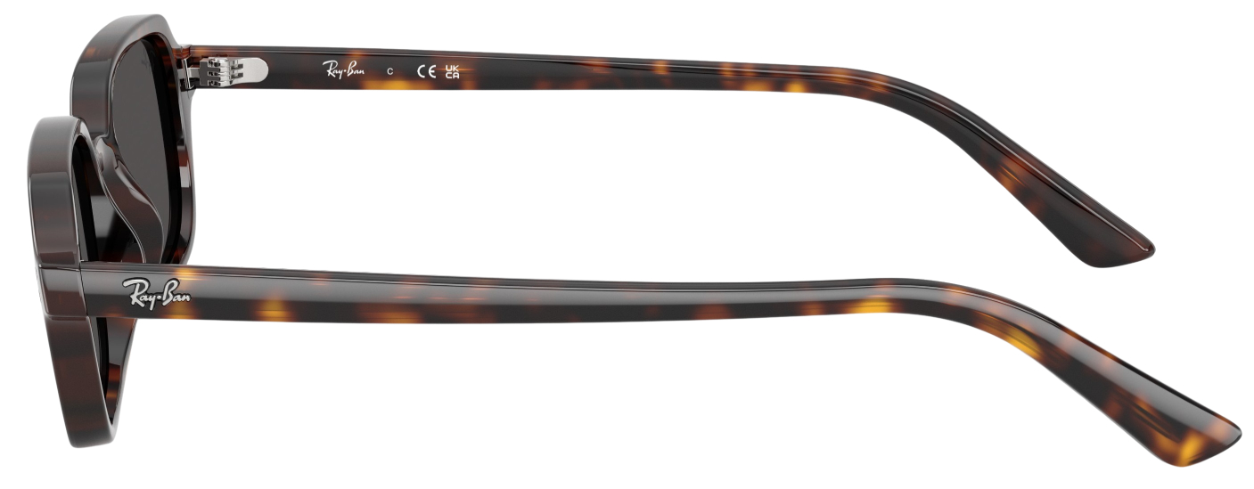 Ray-Ban Zuri Fashion Sunglasses