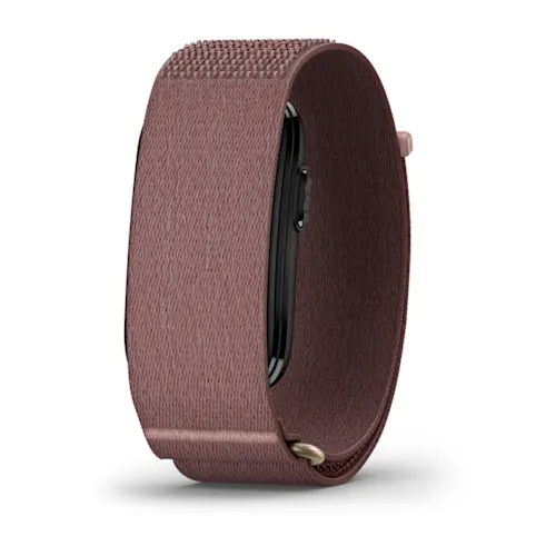 Garmin Cirqa Smart Band