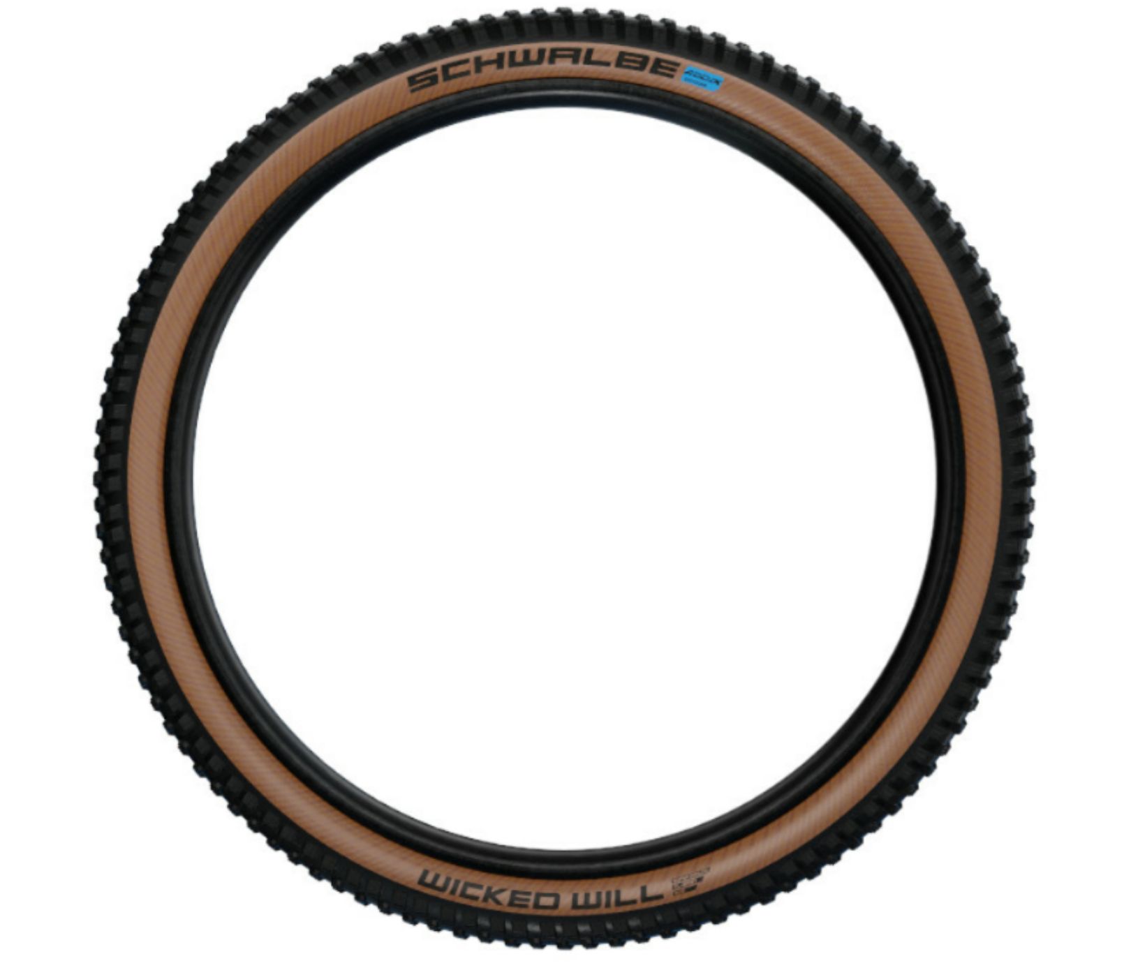 Schwalbe Wicked Will Evo Super Race Skinwall TLE 29x2.4 Mountain Bike Tyre