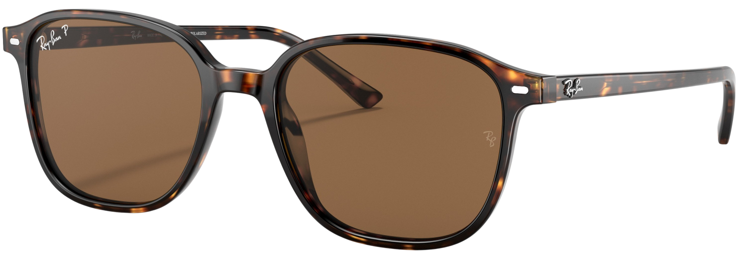 Ray-Ban Leonard Polarized Fashion Sunglasses