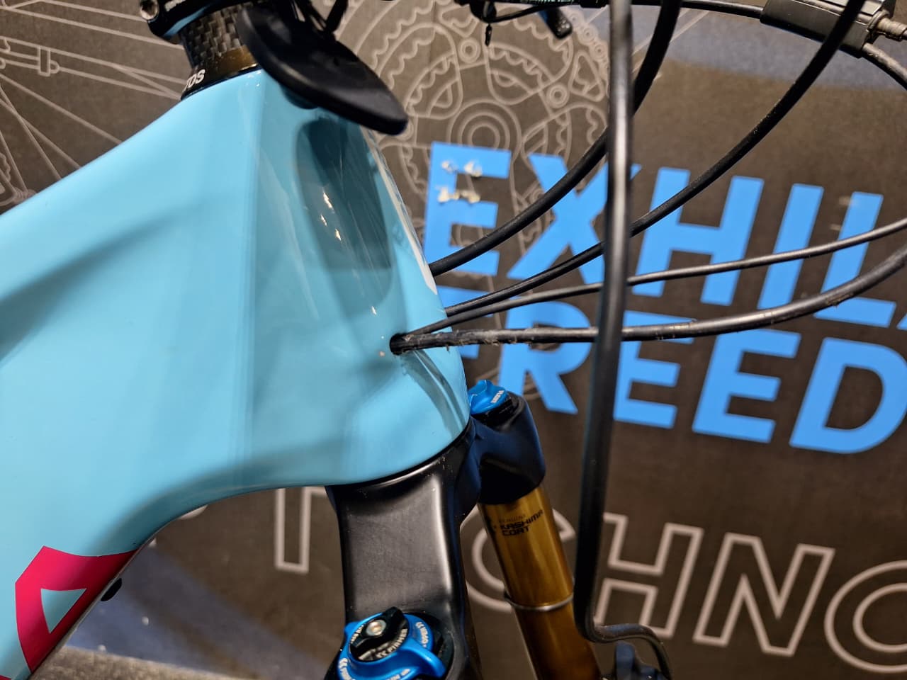 Demo Orbea Rise M-LTD Carbon Dual Suspension MTB Large