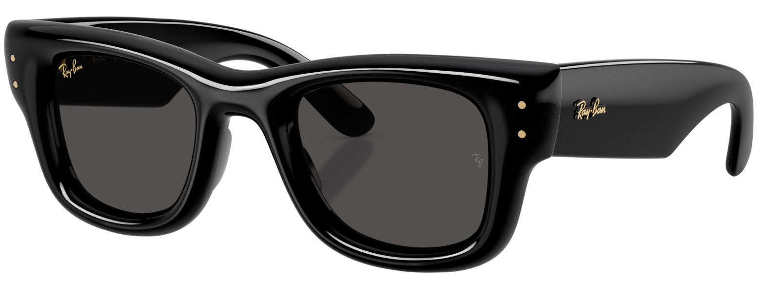 Ray-Ban Wayfarer Puffer Fashion Sunglasses