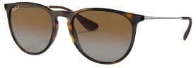 Ray-Ban Erika Polarized Fashion Sunglasses
