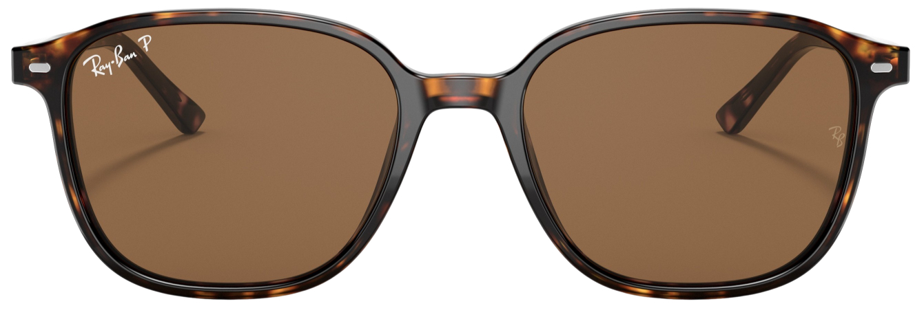 Ray-Ban Leonard Polarized Fashion Sunglasses