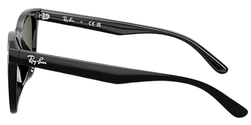 Ray-Ban 0RB4420 Polarized Sunglasses