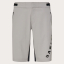 Oakley Free Ride Men's Bagg Shorts 