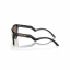 Oakley Frogskin Polarized Sunglasses 
