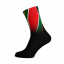 Sox SA Flag Unisex Socks