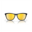 Oakley Frogskin Polarized Sunglasses 