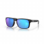Oakley Holbrook Polarized Sunglasses 